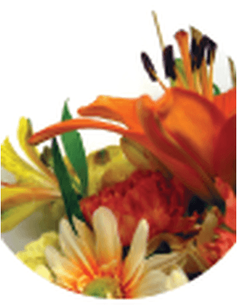 Sue E. (Long) Millis Obituary