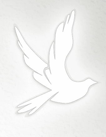 Barbara Kleiss Obituary